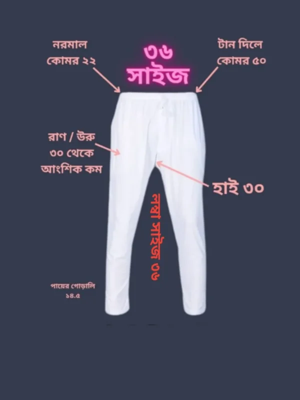 imgi_1_20250225_121206